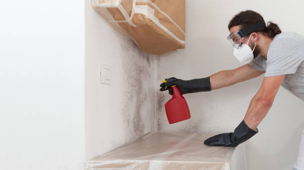 Professional Basement Mold Remediation technician working in Broomfield, CO