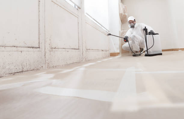 24/7 Emergency Basement Mold Remediation experts in Broomfield, CO